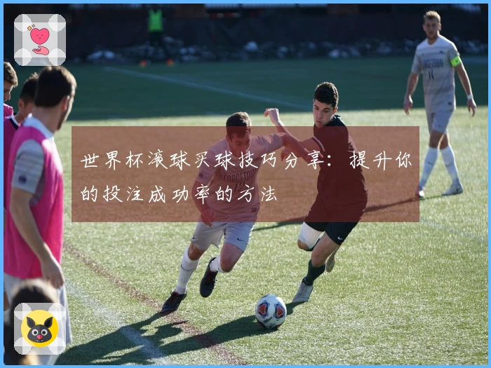 世界杯滚球买球技巧分享：提升你的投注成功率的方法