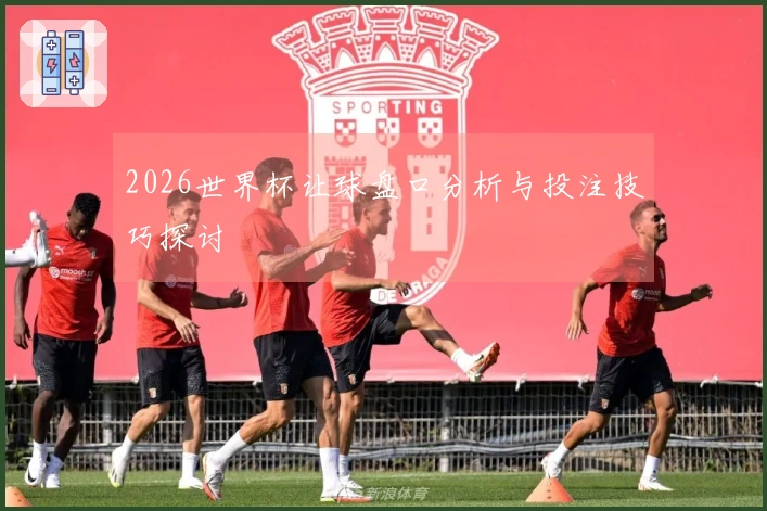 2026世界杯让球盘口分析与投注技巧探讨
