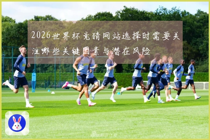 2026世界杯竞猜网站选择时需要关注哪些关键因素与潜在风险