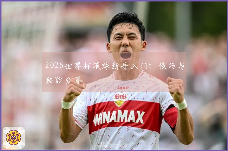 2026世界杯滚球新手入门：技巧与经验分享