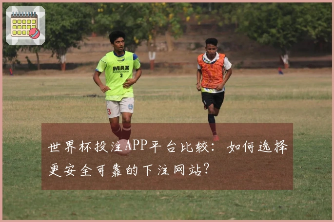 世界杯投注APP平台比较：如何选择更安全可靠的下注网站？