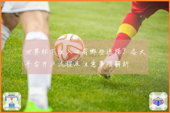 世界杯下注入口有哪些选择？各大平台开户流程及注意事项解析