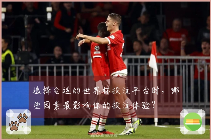 选择合适的世界杯投注平台时，哪些因素最影响你的投注体验？