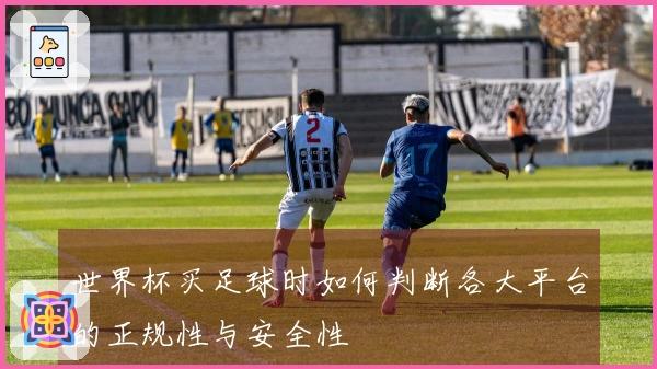 世界杯买足球时如何判断各大平台的正规性与安全性