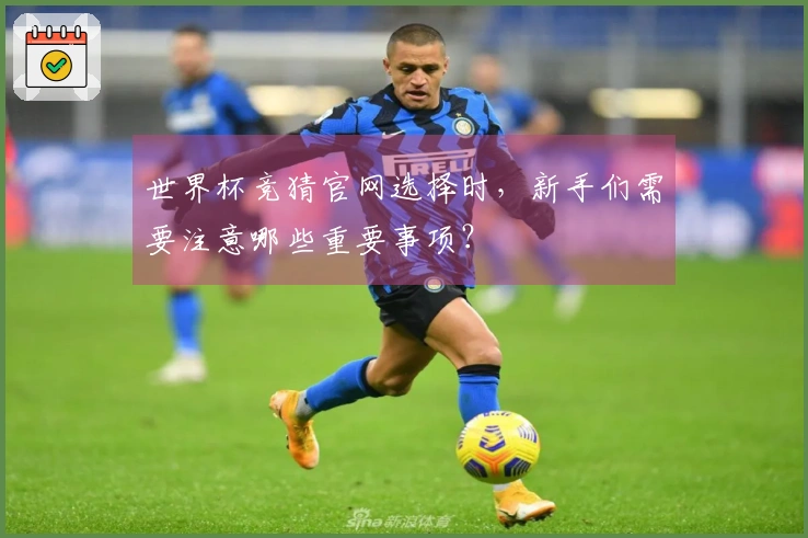 世界杯竞猜官网选择时，新手们需要注意哪些重要事项？