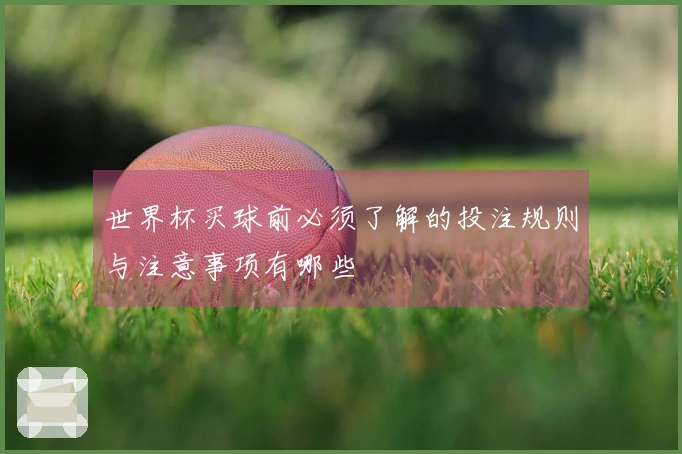世界杯买球前必须了解的投注规则与注意事项有哪些
