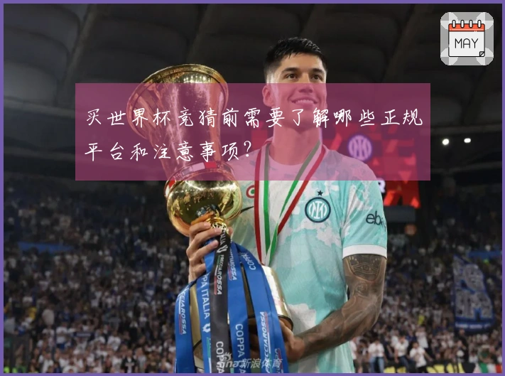 买世界杯竞猜前需要了解哪些正规平台和注意事项？