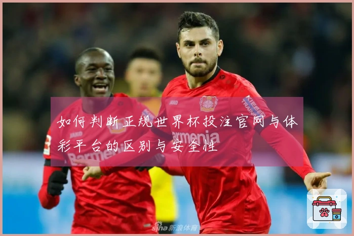 如何判断正规世界杯投注官网与体彩平台的区别与安全性