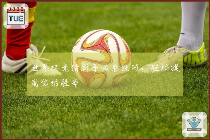 世界杯竞猜新手必看技巧，轻松提高你的胜率