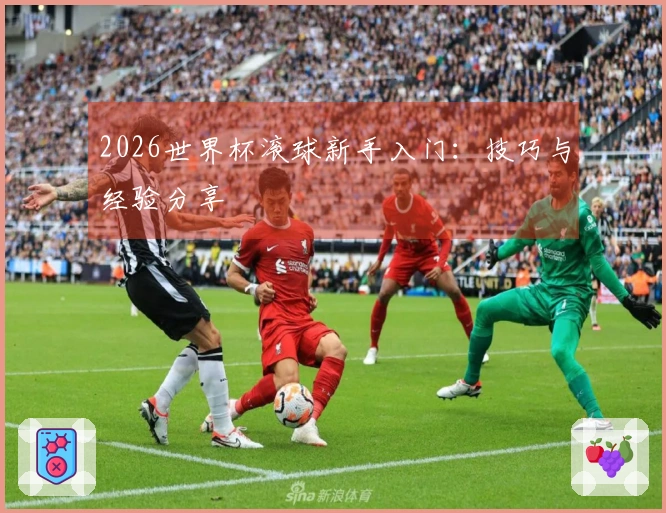 2026世界杯滚球新手入门：技巧与经验分享