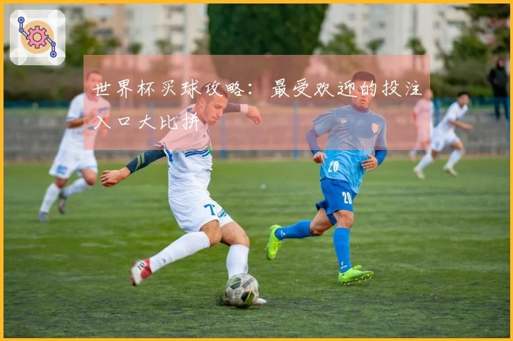 世界杯买球攻略：最受欢迎的投注入口大比拼