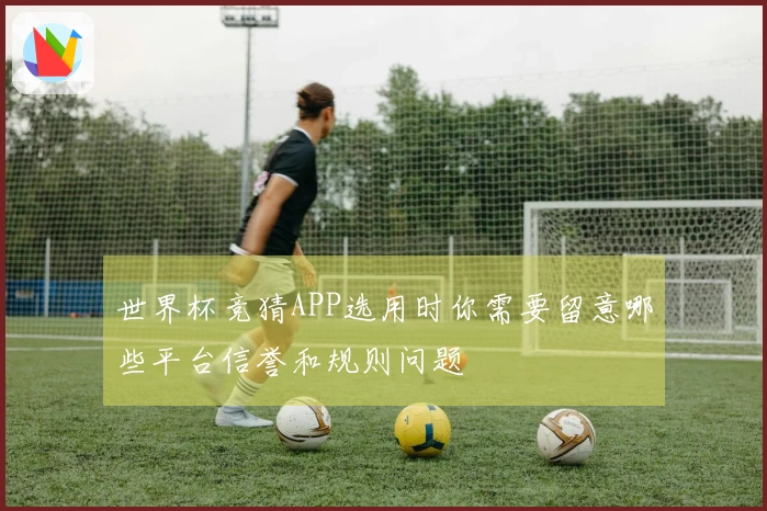 世界杯竞猜APP选用时你需要留意哪些平台信誉和规则问题