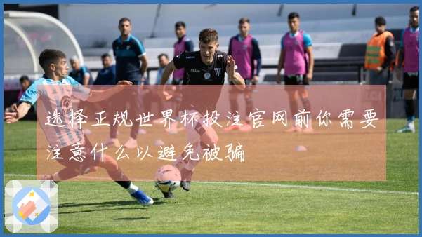 选择正规世界杯投注官网前你需要注意什么以避免被骗