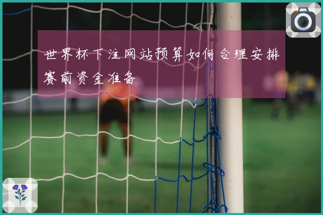 世界杯下注网站预算如何合理安排赛前资金准备