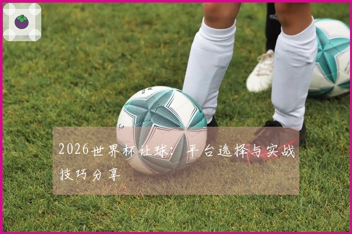 2026世界杯让球：平台选择与实战技巧分享