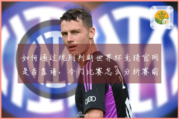 如何通过规则判断世界杯竞猜官网是否靠谱，冷门比赛怎么分析赛前思路