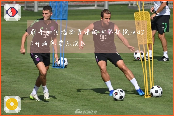 新手如何选择靠谱的世界杯投注app并避免常见误区