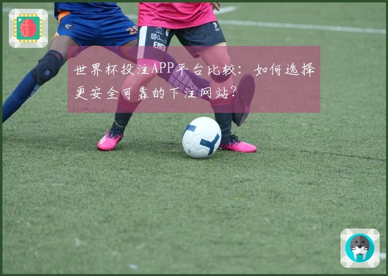 世界杯投注APP平台比较：如何选择更安全可靠的下注网站？