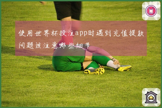 使用世界杯投注app时遇到充值提款问题该注意哪些细节