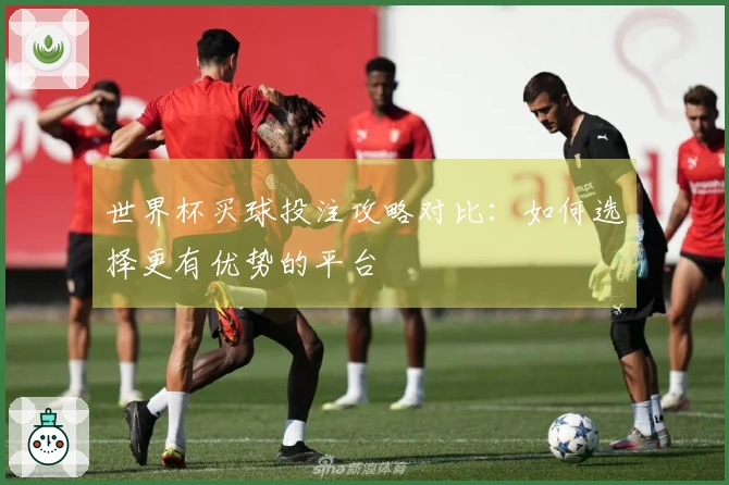 世界杯买球投注攻略对比：如何选择更有优势的平台