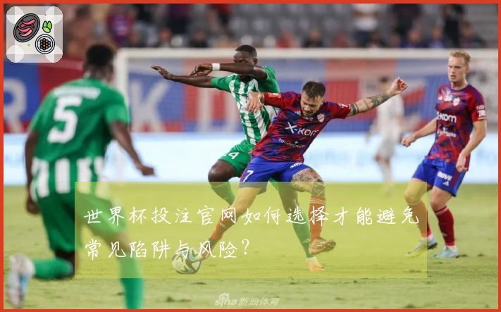 世界杯投注官网如何选择才能避免常见陷阱与风险？