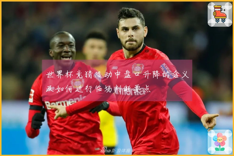 世界杯竞猜活动中盘口升降的含义及如何进行临场判断要点
