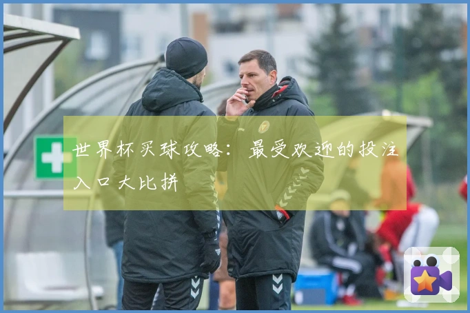 世界杯买球攻略：最受欢迎的投注入口大比拼