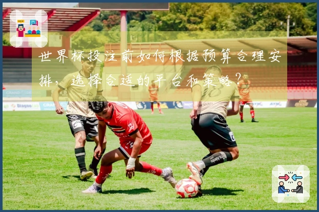 世界杯投注前如何根据预算合理安排，选择合适的平台和策略？
