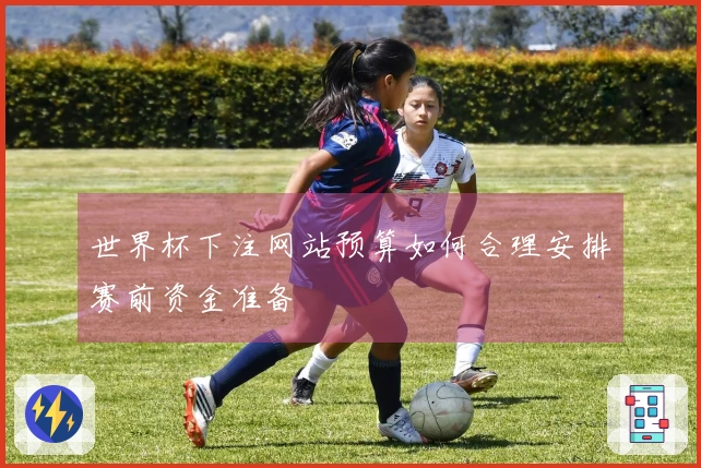 世界杯下注网站预算如何合理安排赛前资金准备