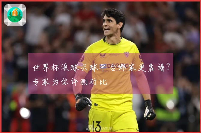 世界杯滚球买球平台哪家更靠谱？专家为你评测对比