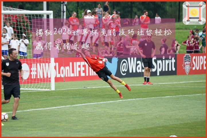 揭秘2026世界杯竞猜技巧让你轻松赢得竞猜乐趣