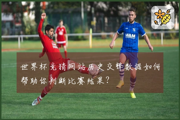 世界杯竞猜网站历史交锋数据如何帮助你判断比赛结果？