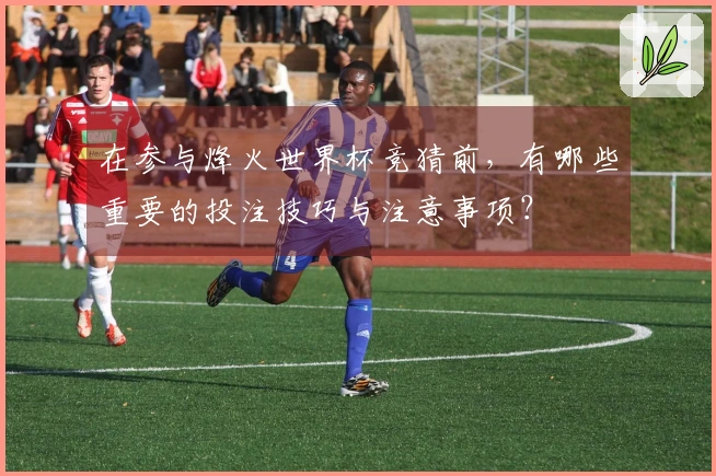 在参与烽火世界杯竞猜前，有哪些重要的投注技巧与注意事项？