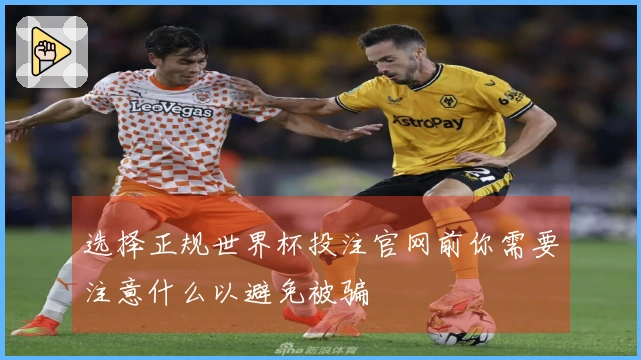 选择正规世界杯投注官网前你需要注意什么以避免被骗