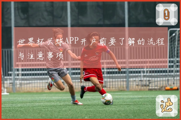 世界杯买球APP开户前要了解的流程与注意事项