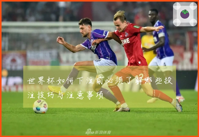世界杯如何下注前必须了解哪些投注技巧与注意事项