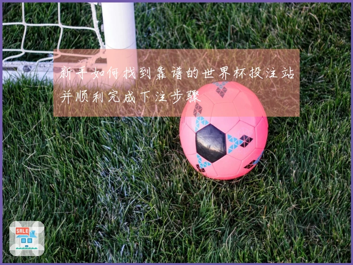 新手如何找到靠谱的世界杯投注站并顺利完成下注步骤