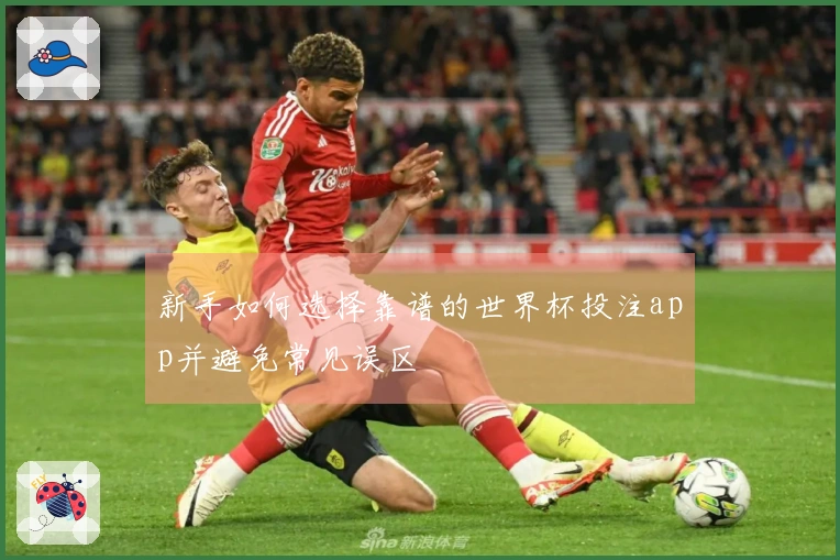新手如何选择靠谱的世界杯投注app并避免常见误区