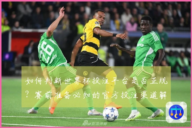 如何判断世界杯投注平台是否正规？赛前准备必知的官方投注渠道解析