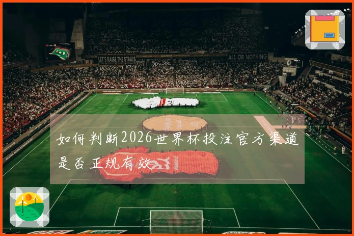 如何判断2026世界杯投注官方渠道是否正规有效