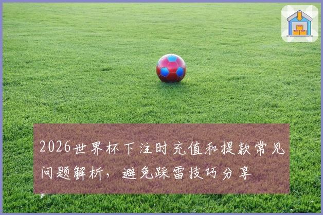 2026世界杯下注时充值和提款常见问题解析，避免踩雷技巧分享