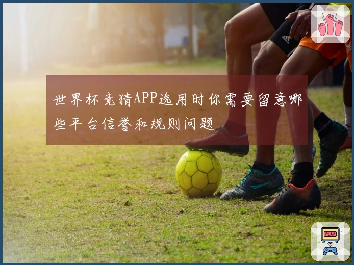 世界杯竞猜APP选用时你需要留意哪些平台信誉和规则问题