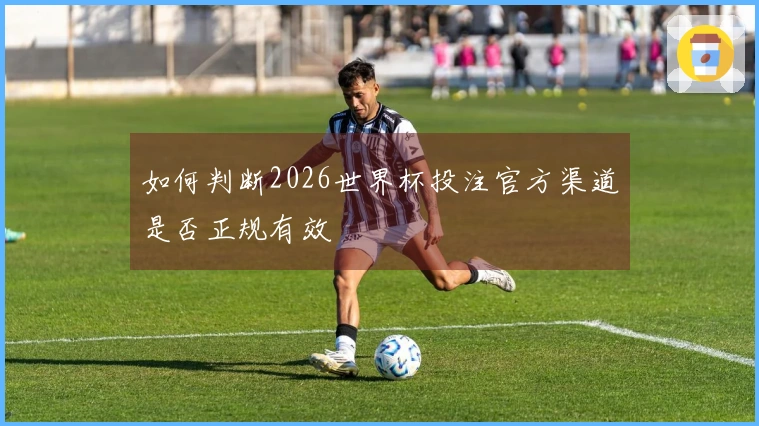 如何判断2026世界杯投注官方渠道是否正规有效