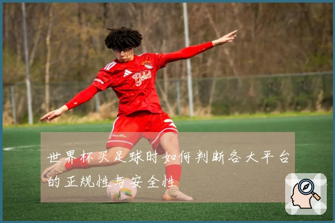 世界杯买足球时如何判断各大平台的正规性与安全性
