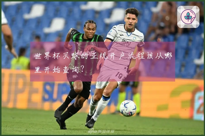 世界杯买球的正规开户流程该从哪里开始查询？