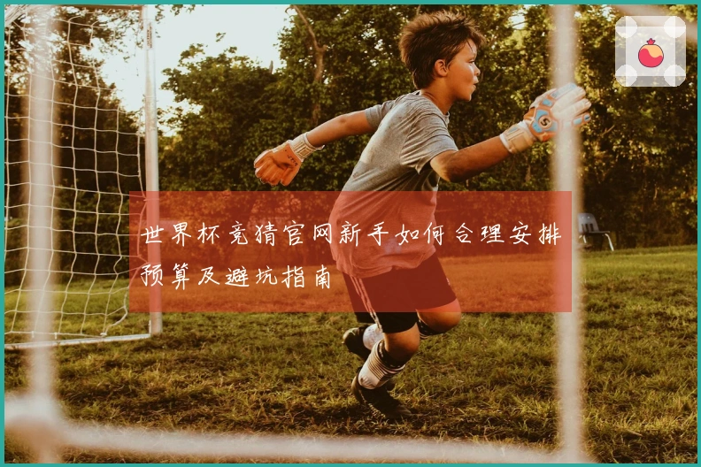 世界杯竞猜官网新手如何合理安排预算及避坑指南